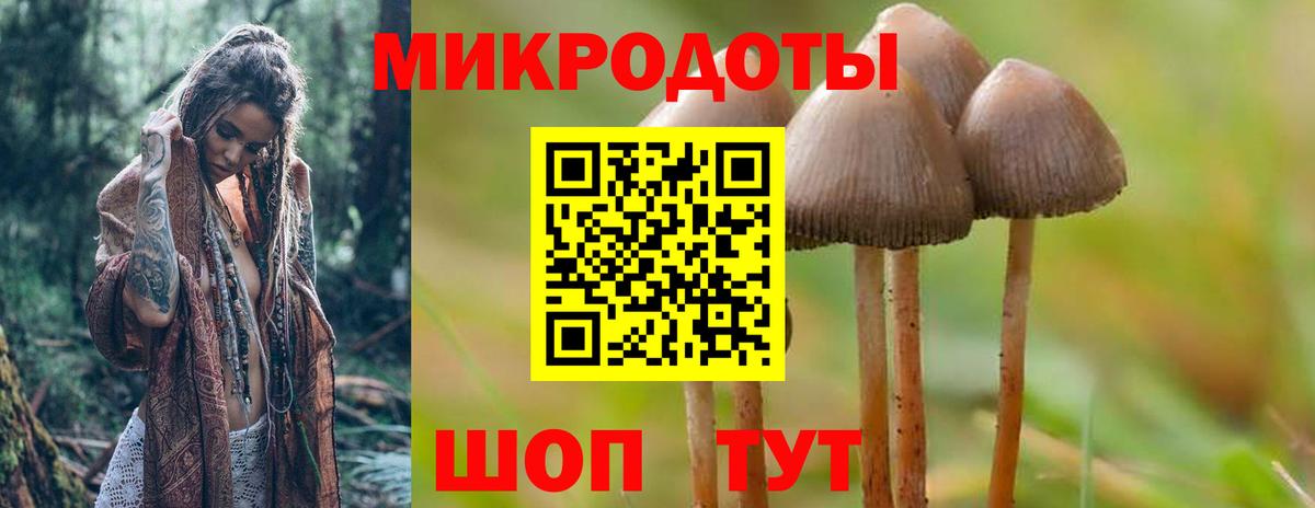 Псилоцибиновые грибы Magic Shrooms Надым